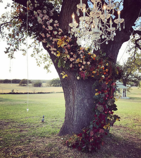 oak tree decorate for the ceremony