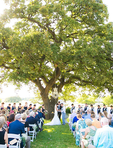 wedding ceremony under a huge oak tree
