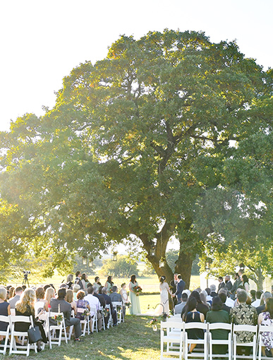 wedding ceremony under a huge oak tree