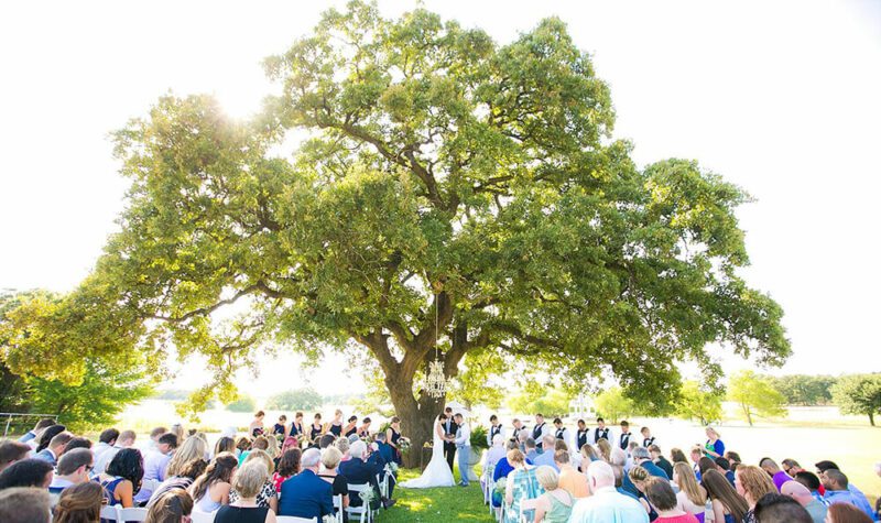 wedding ceremony under oak tree